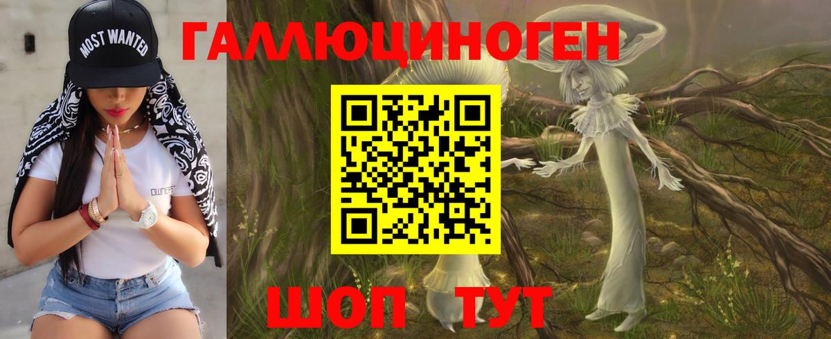 Псилоцибиновые грибы мицелий Мурино