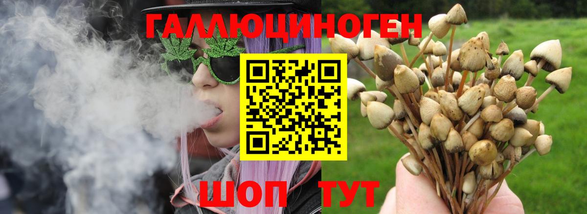 Псилоцибиновые грибы прущие грибы  Галлюциногенные грибы MAGIC MUSHROOMS  Вход с VPN  продажа наркотиков  Мурино 